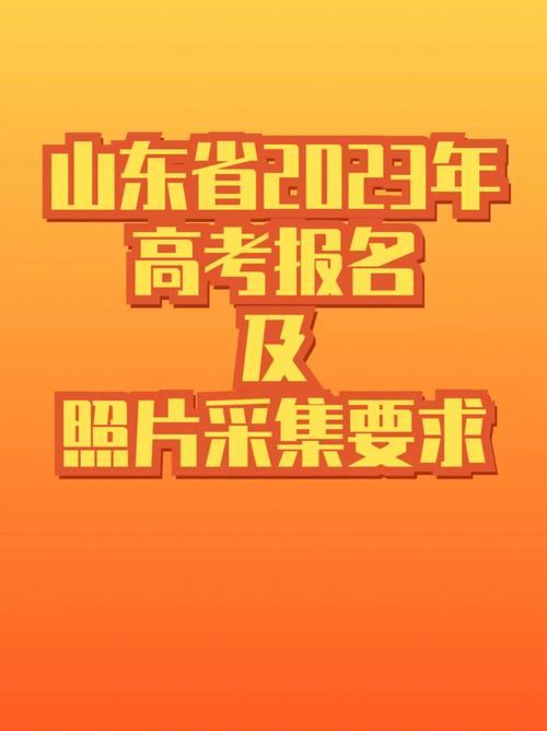 山东高考报名官网经典版