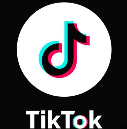 tiktok成年人版脸部特效安卓