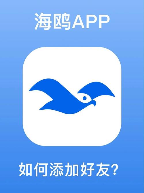海鸥加速器官方版APP无广告纯净版无限能量蓝色版无广告免费