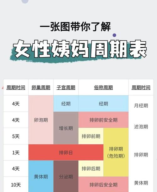 月经周期表图纯净版