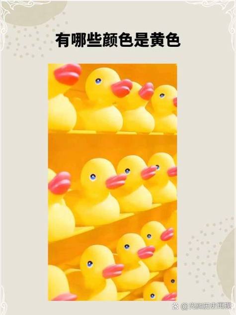 快鸭加速器免费的橙色版