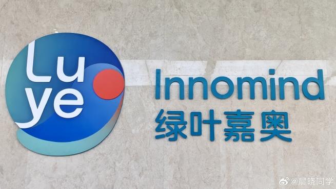 绿叶加速器安装包
