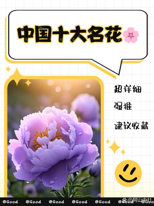 中国最美的十大名花全免版