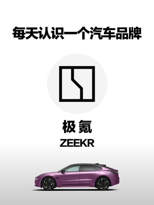 极氪汽车属于什么档次国际版