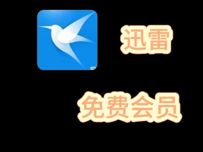 免费迅雷超级会员修改版无广告