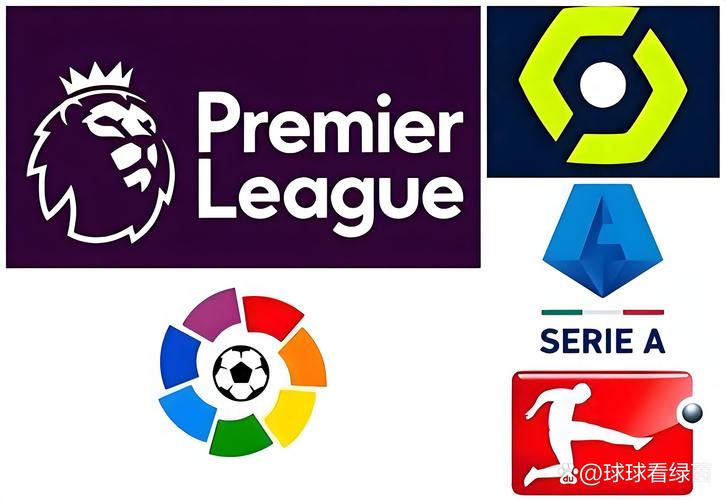 oddsportal足球数据中文最新版