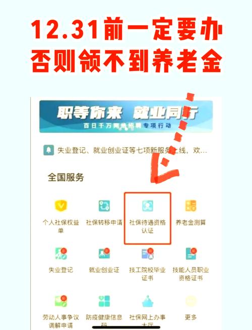 养老金生存认证安卓最新版