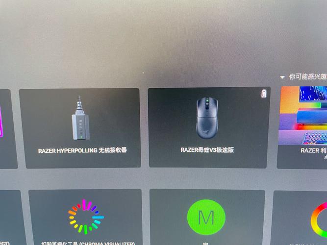 毒蛇nvp加速器轻量版
