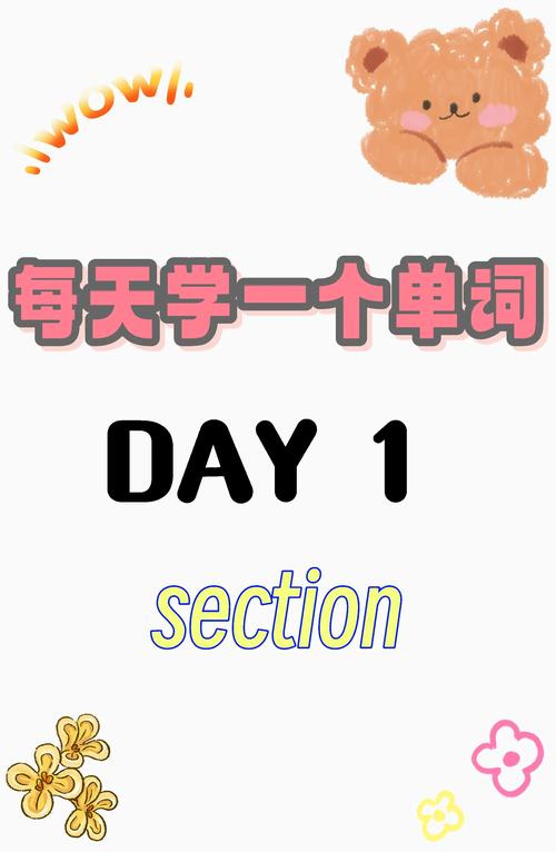 section的用法免费版