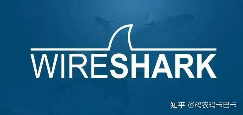 wireshark手机中文版