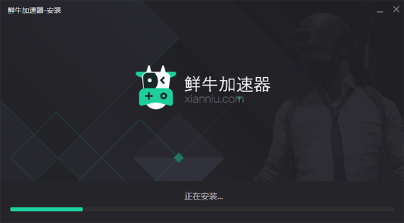 鲜牛加速器手机版