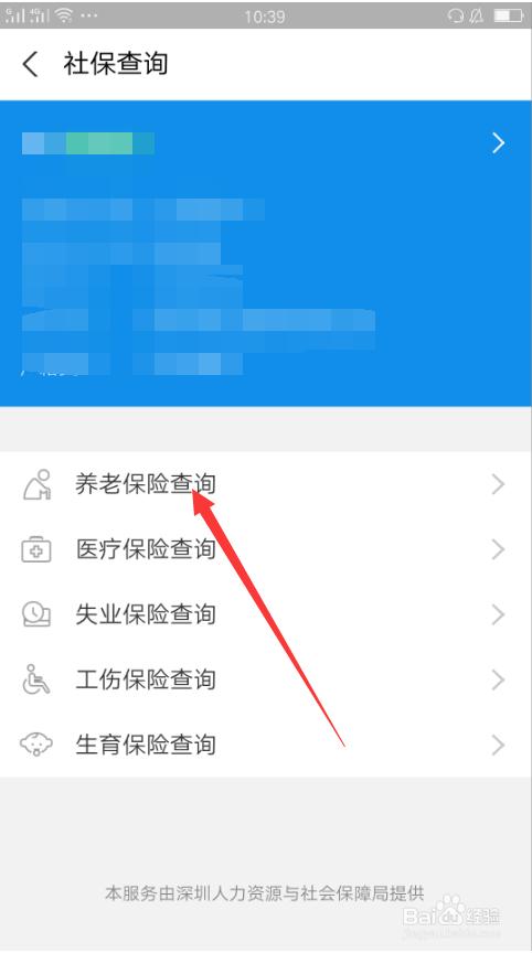 养老保险个人帐户余额查询软件蓝色旧版无广告