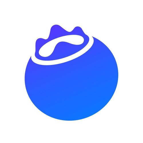 蓝莓小说光环加速版