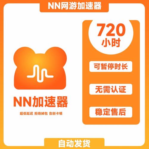 nn加速器2.0.3