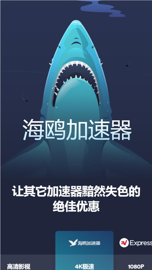 海鸥加速器官方正版提米版