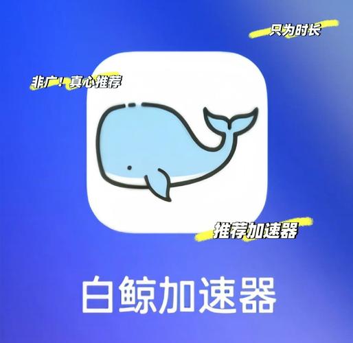 白鲸加速器2023永久免费版最新版经典版无广告