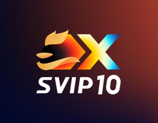 赛盾加速器支付永久vip版