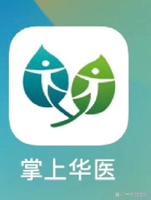 掌上华医老旧版纯净版