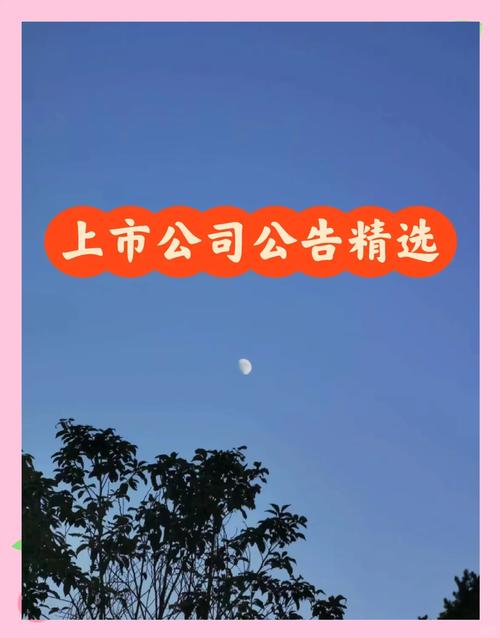 查上市公司公告去哪个网加速永久