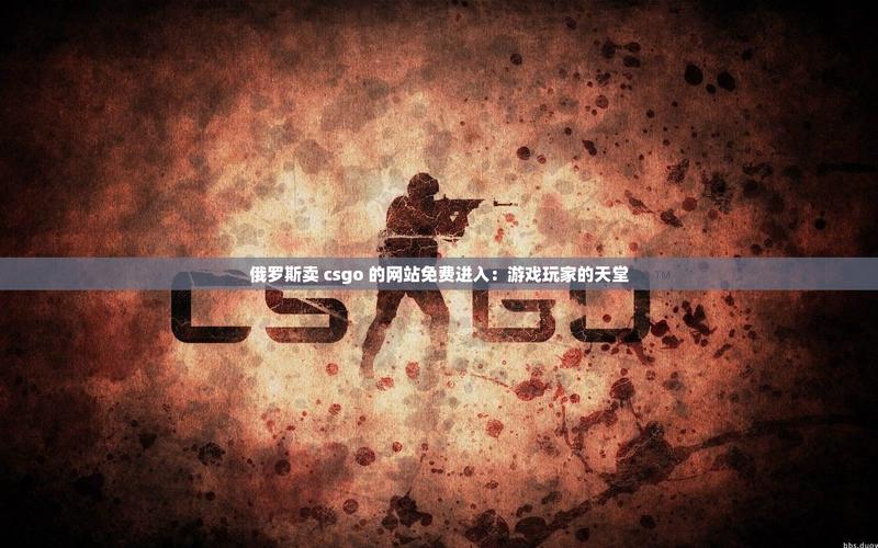 俄罗斯卖csgo的网站免费进入光环加速版
