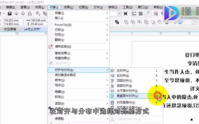 cdr分布对齐怎么调出加速永久