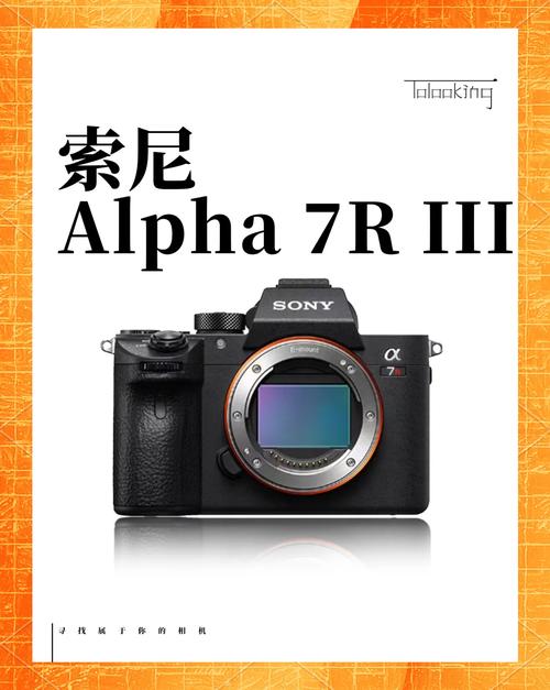 索尼a7r3人像最佳设置