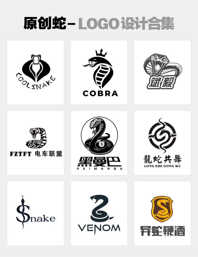 毒蛇加速器安装