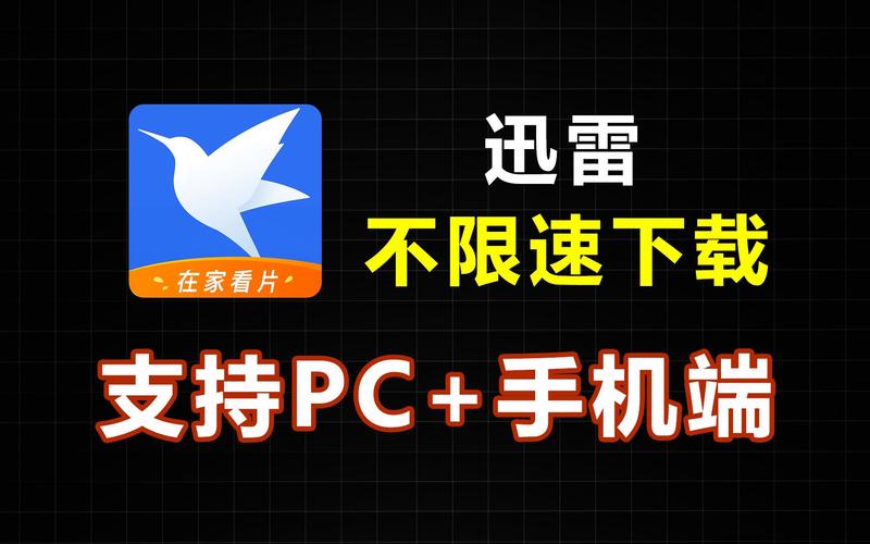 迅雷永不升级版本破解版无限体力