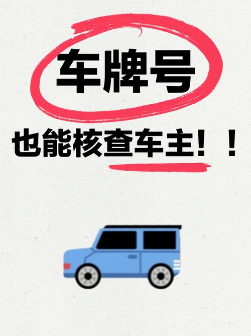 输入车牌号查车主光环加速版