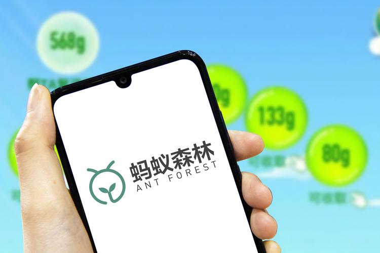 2025蚂蚁森林最新消息加速永久