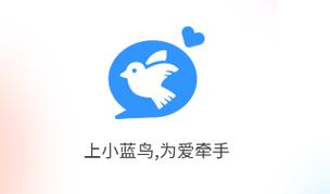 维特小蓝鸟下载正版