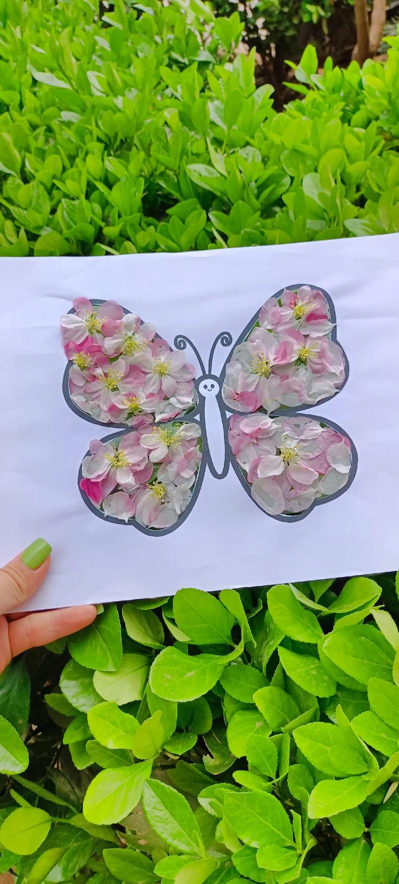 花瓣粘贴画加速永久