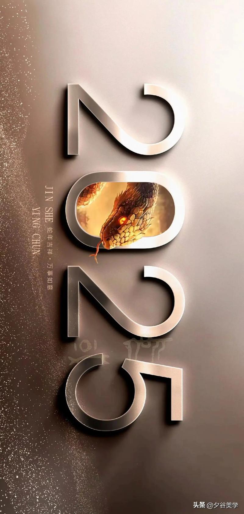 完美卫星TV2025手机版