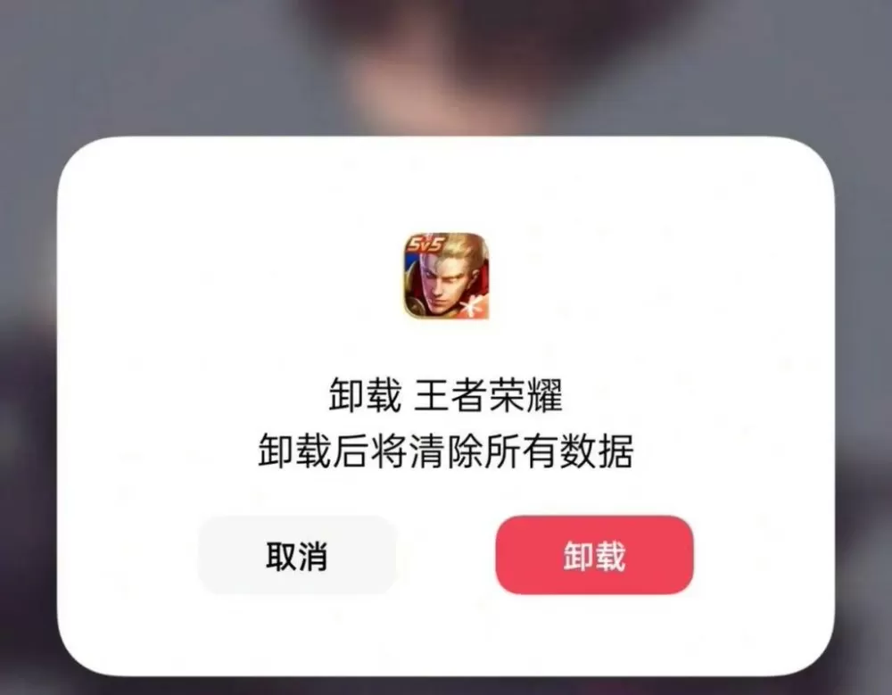 ios王者卸载再下载不了