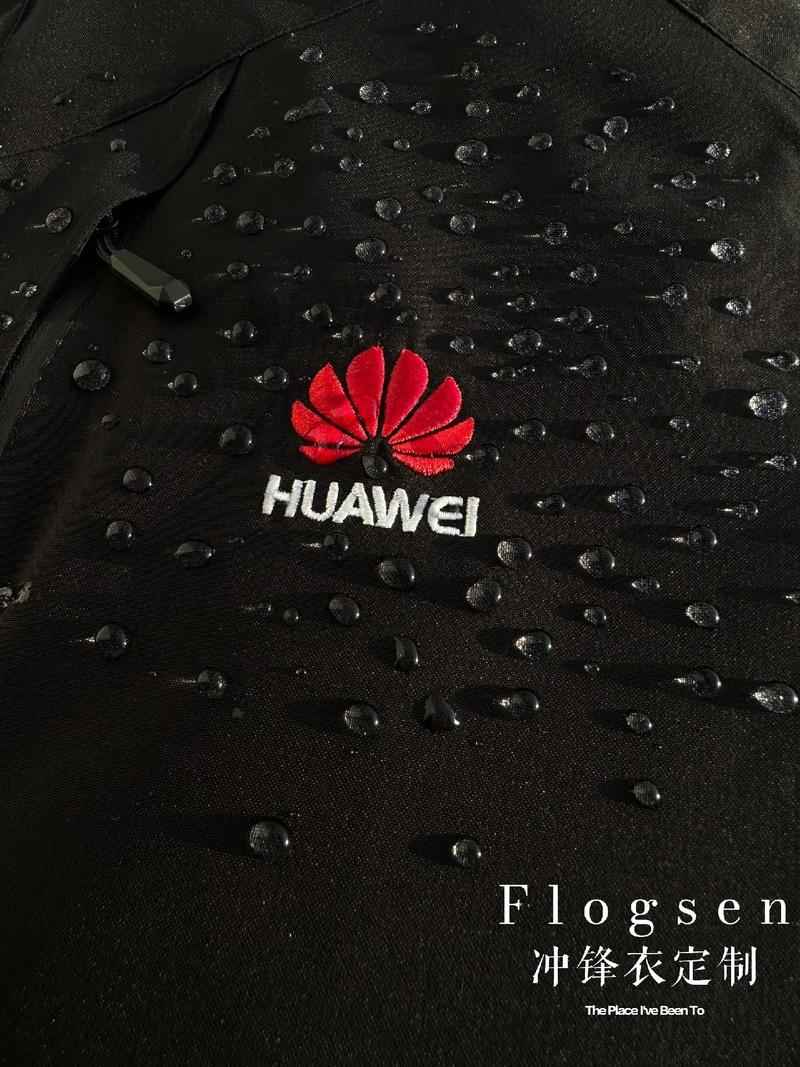 华为渠道服安装包