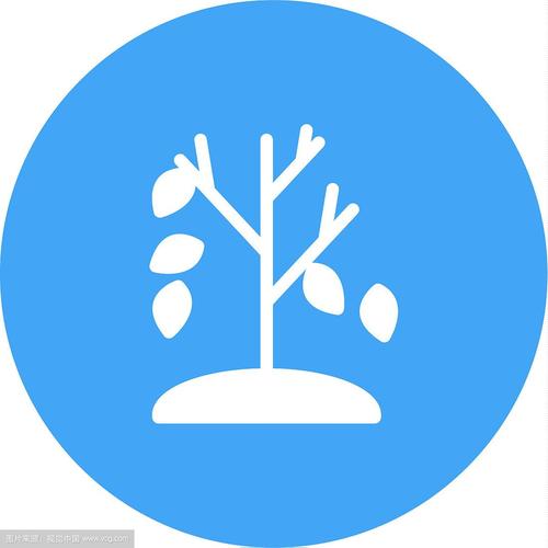落叶社区破解版无限体力