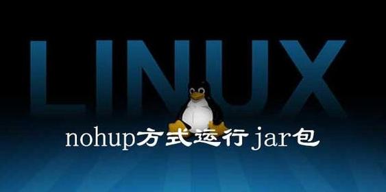 linux如何运行jar包提速版