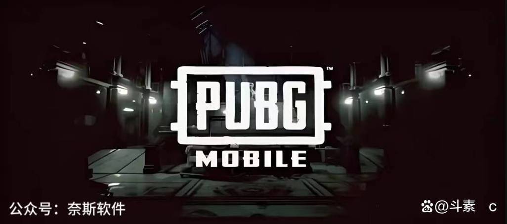 PUBG国际服透视脚本赚钱版截图