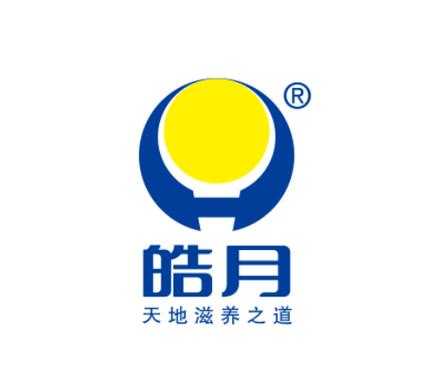 皓月辅助平台