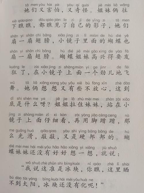 蝴蝶有一面小镜子原文光环加速版