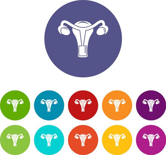 女人的鸡鸡软件