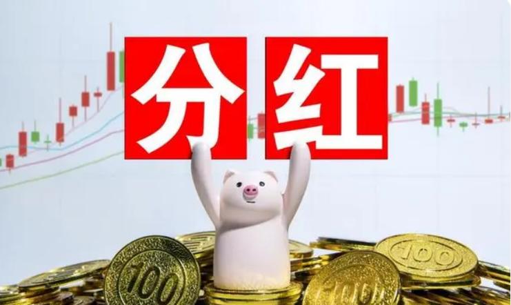 猪猪分红最新版页面版