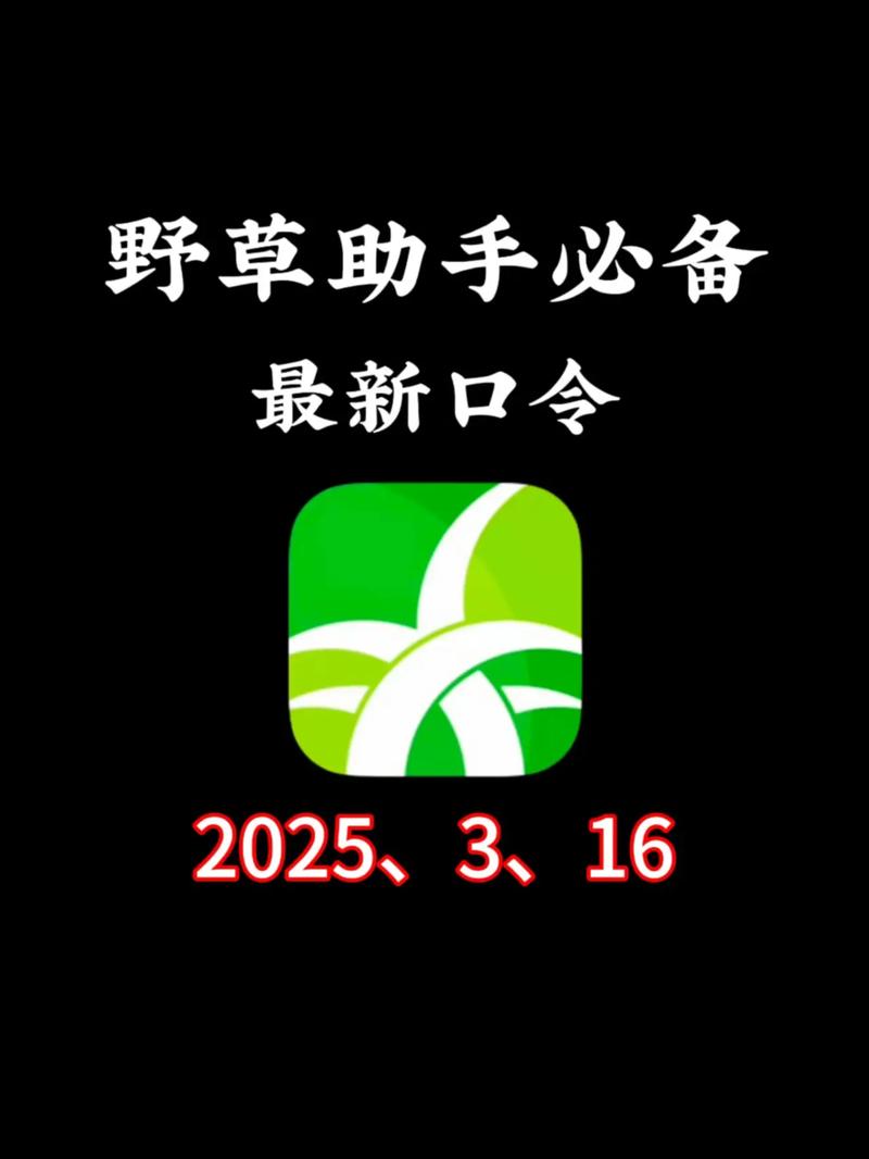 野草助手电视版口令黑色老版
