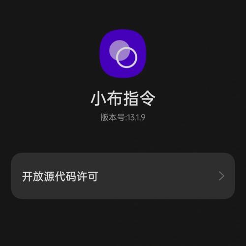 小布指令官方正版无限版
