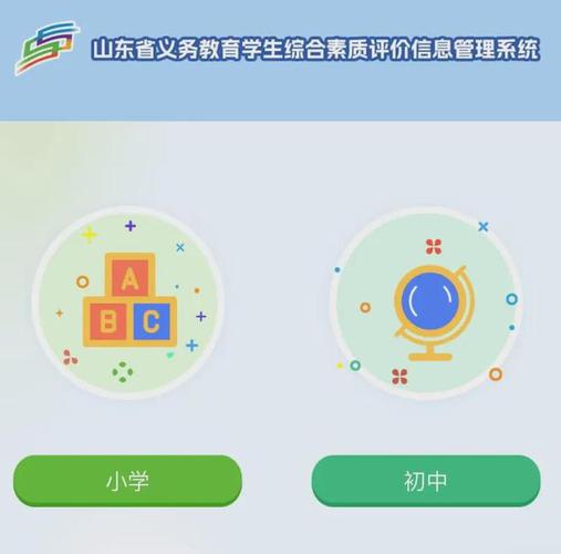 山东省综合素质评价