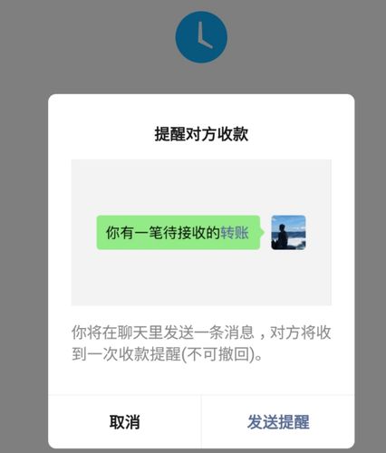 只有转账记录可以起诉吗国际版