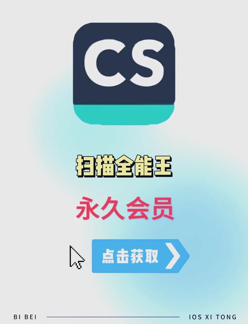 试玩项目是什么意思破解版永久VIP