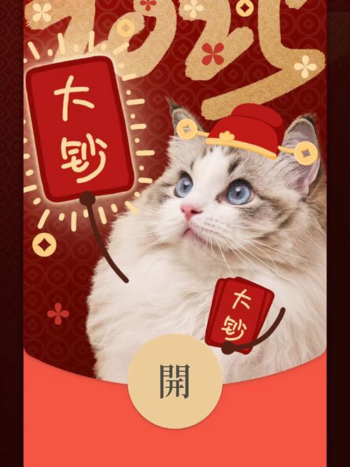养猫咪领红包免费高清影视