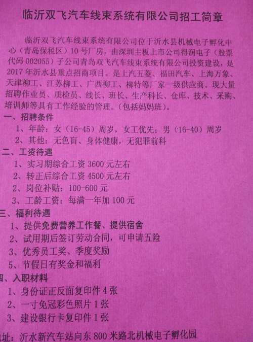 莱芜金点子今天最新招聘信息永久免更新游戏截图