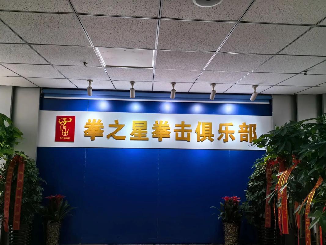 拳击之星最新版本